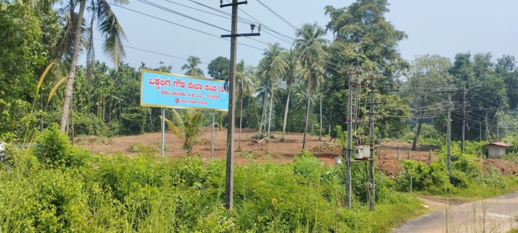 Community Hall Land Work