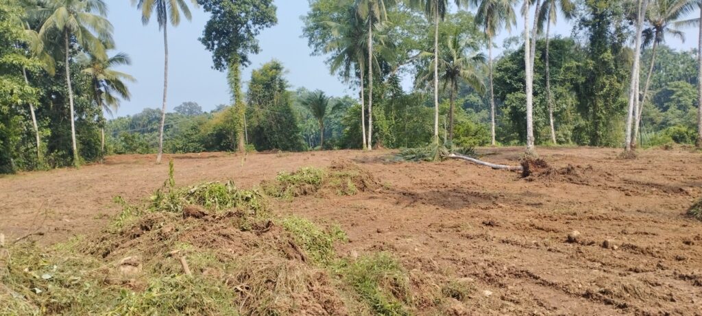 Community Hall Land Work