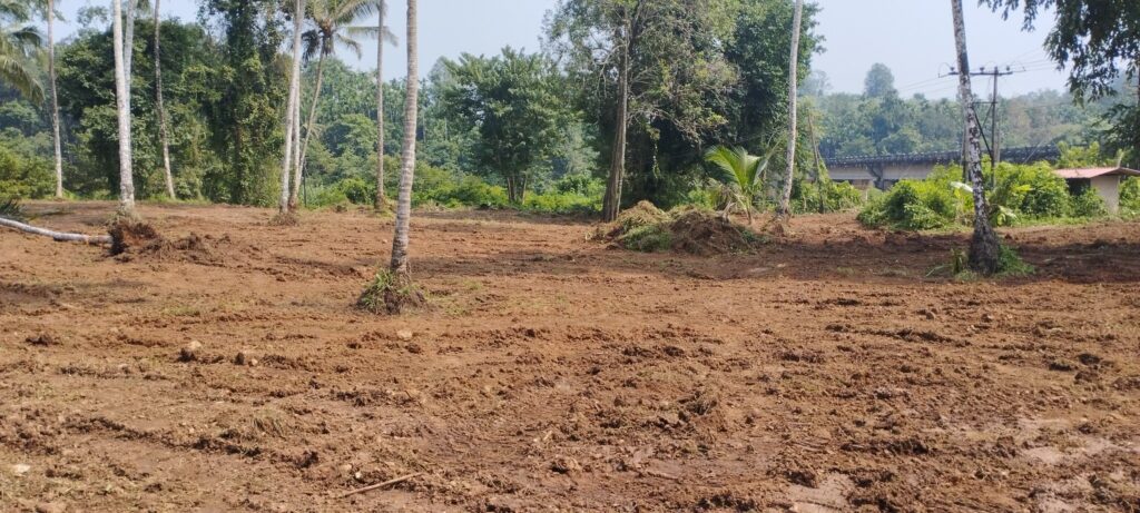 Community Hall Land Work